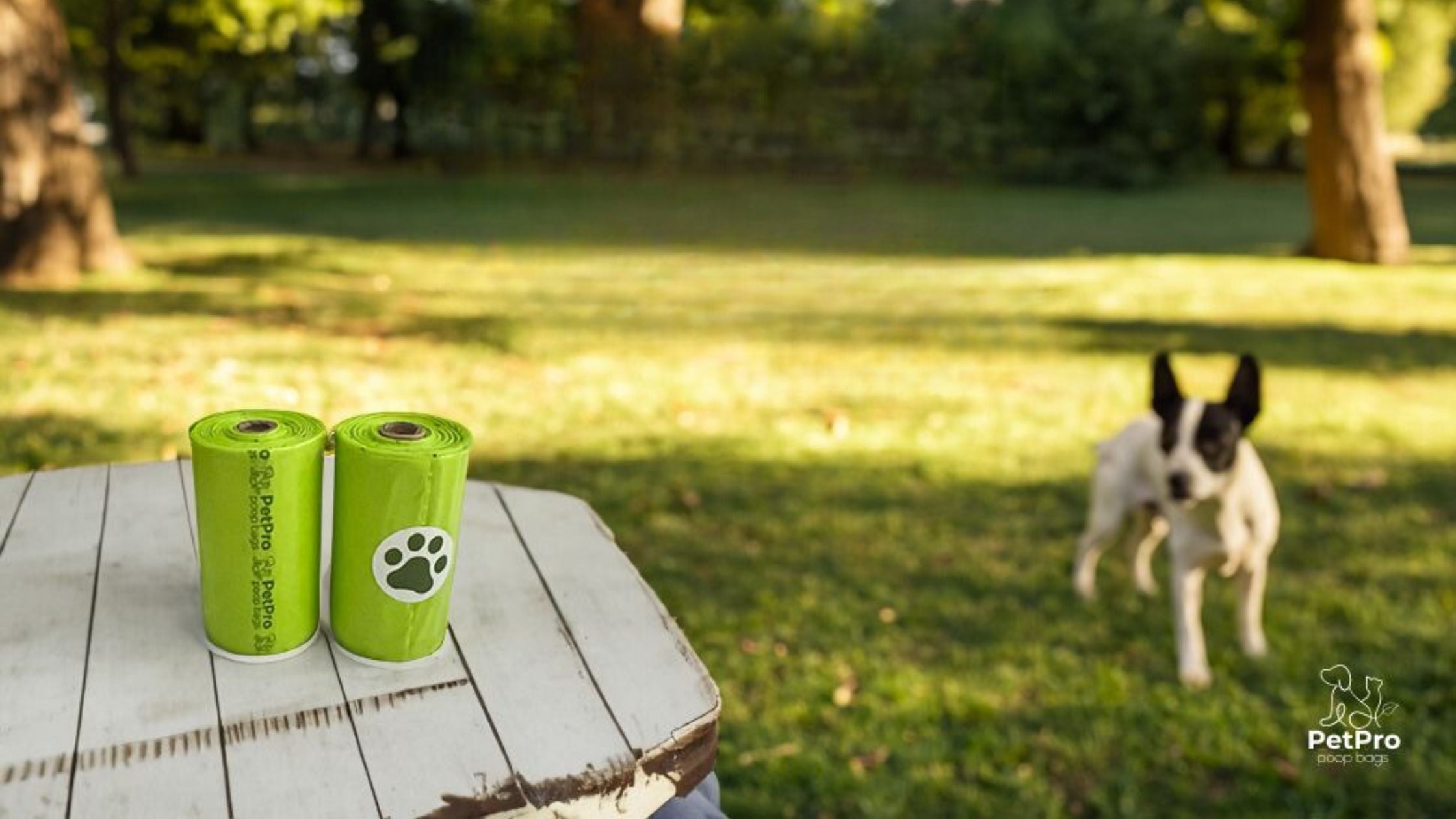 The Poop Bag Dilemma: Navigating Environmental Responsibility with Our New Biodegradable Bags