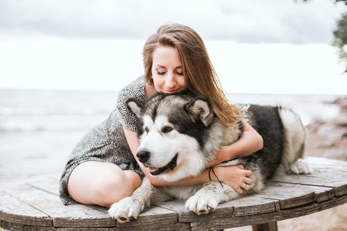Adopting A Family Pet - Pet Pro Supply Co.
