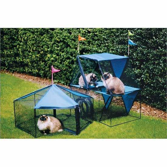 Outdoor Cat Stuff