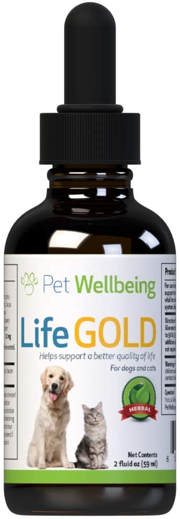 Pet Health and Wellness