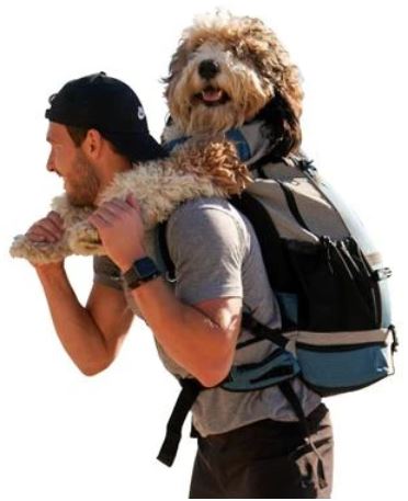 Dog backpacks
