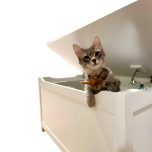Designer Cat Litter Box  Enclosure and Parker
