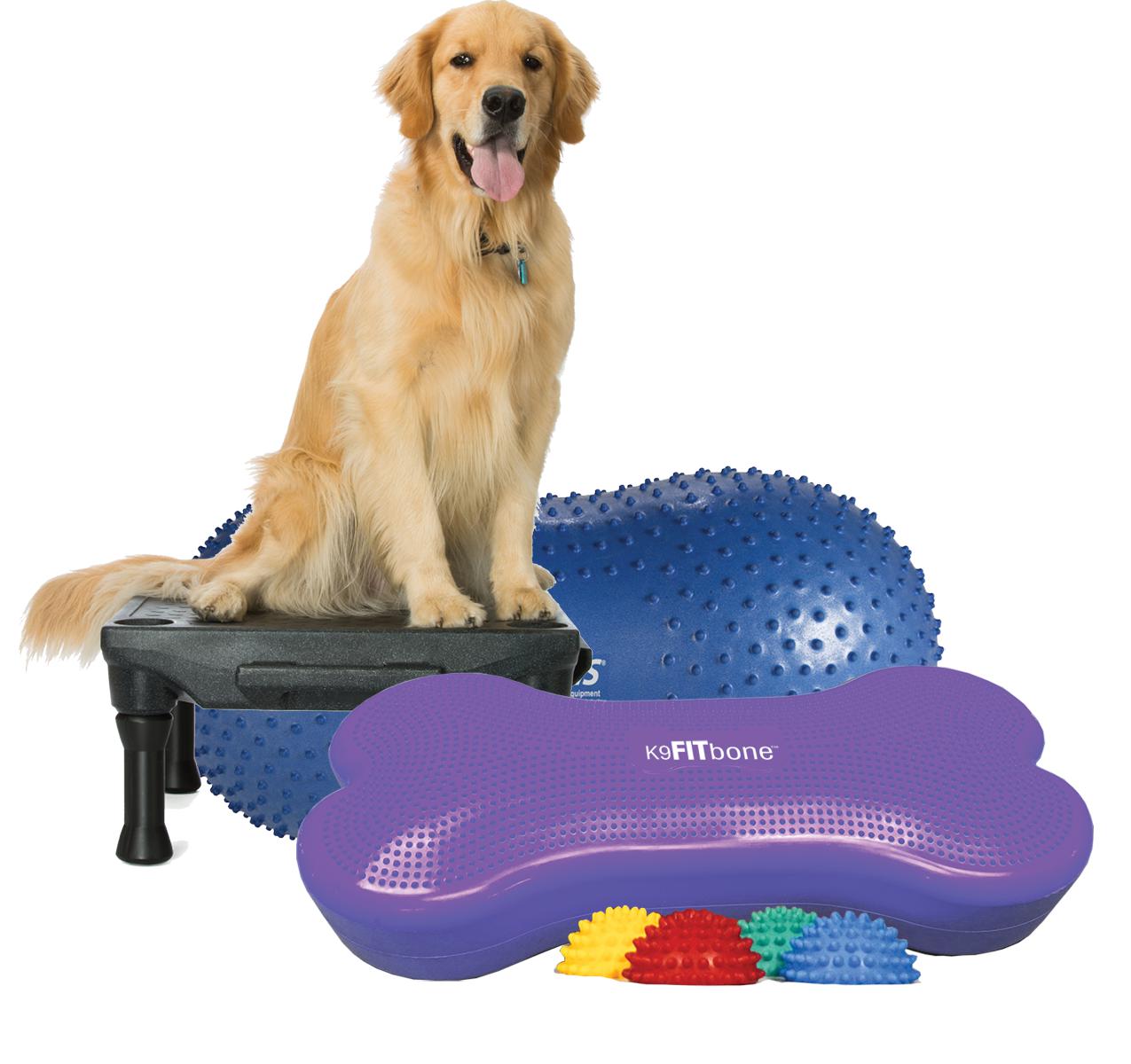 Dog Training Equipment