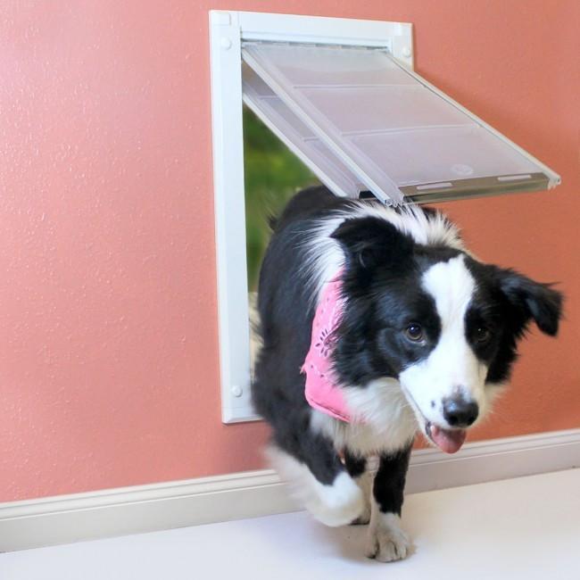 Wall Mounted Pet Doors