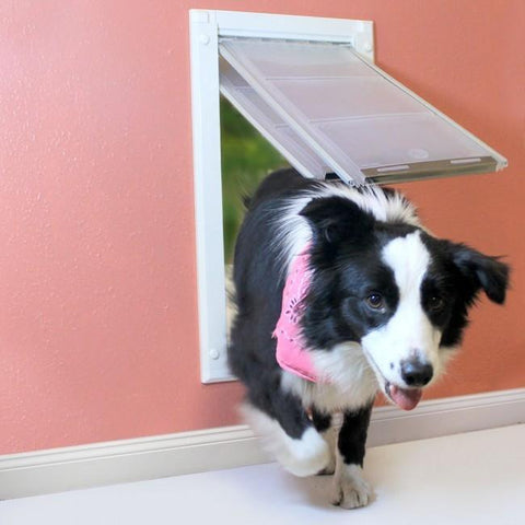 Wall Mounted Pet Doors