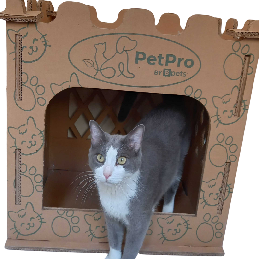 Castle Cat House, Premium Corrugated Cardboard, Double-Layer  Cat Scratcher.