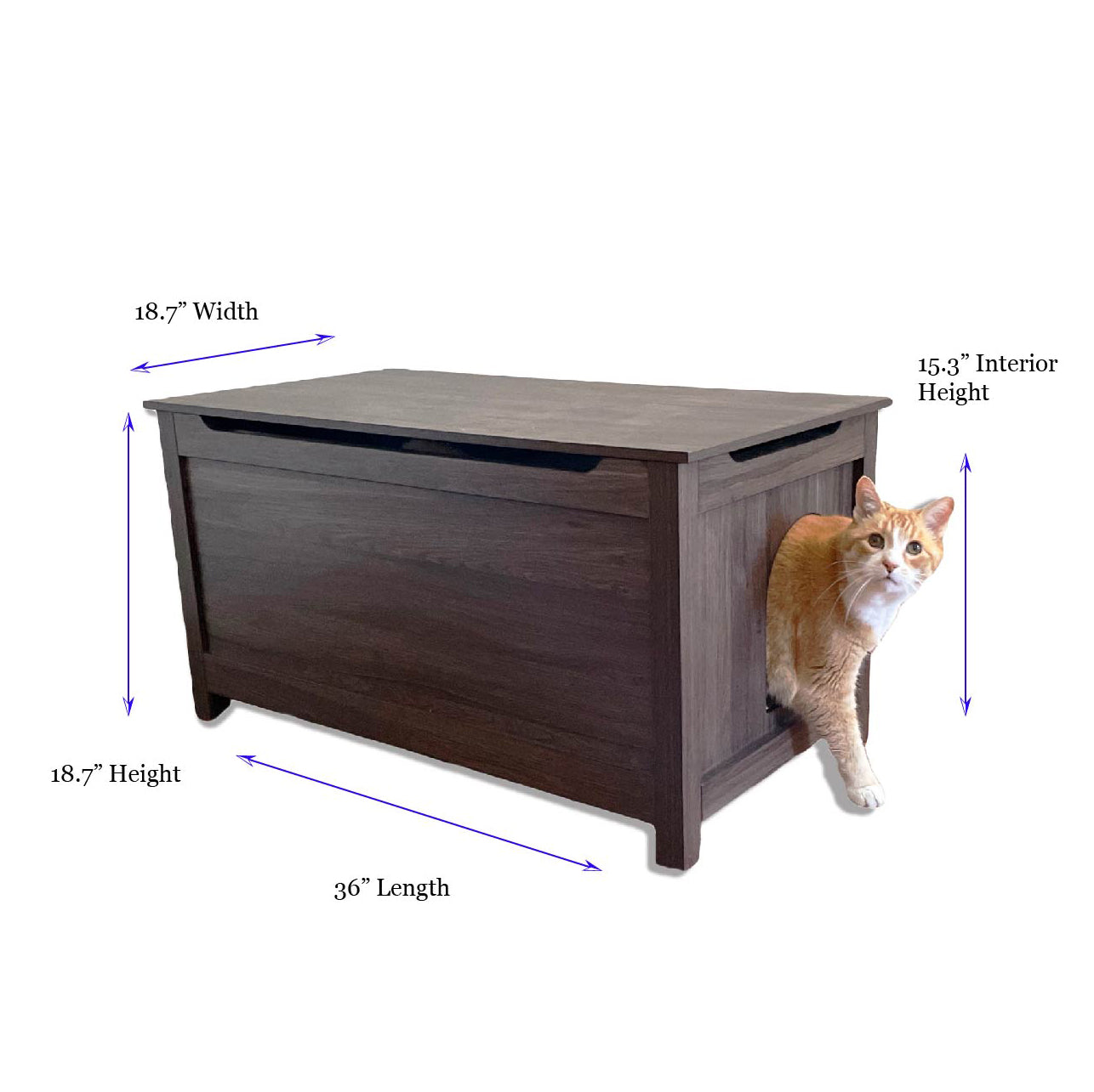 Designer Pet Products Parker Catbox Litter Box Enclosure in Oak