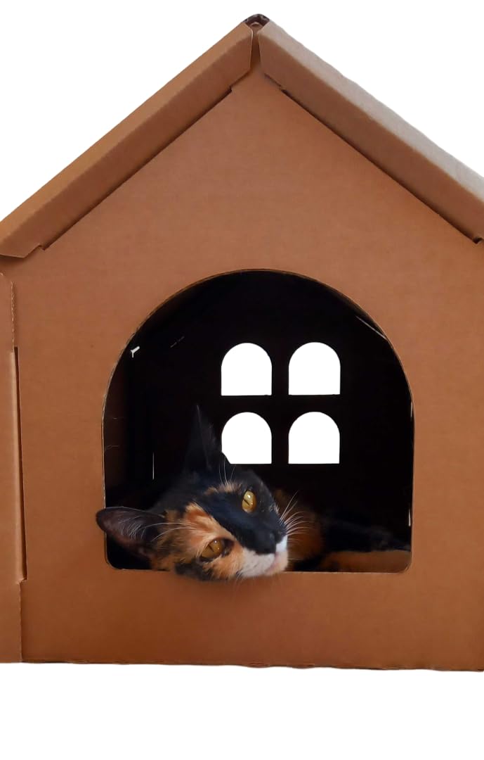 Cozy Cat House with Scratcher – Fun & Sturdy Hideout (Medium Size)