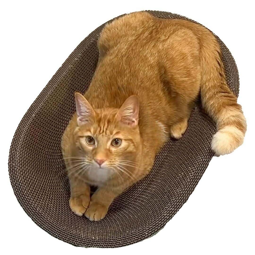 B- Scratcher Kitty Oval Scratcher, Cat Scratcher Cardboard Bed Lounge Couch for Indoor Cats Oval, Kitty Cat Scratching Pad Recycle Corrugate Scratcher Long Lasting Furniture