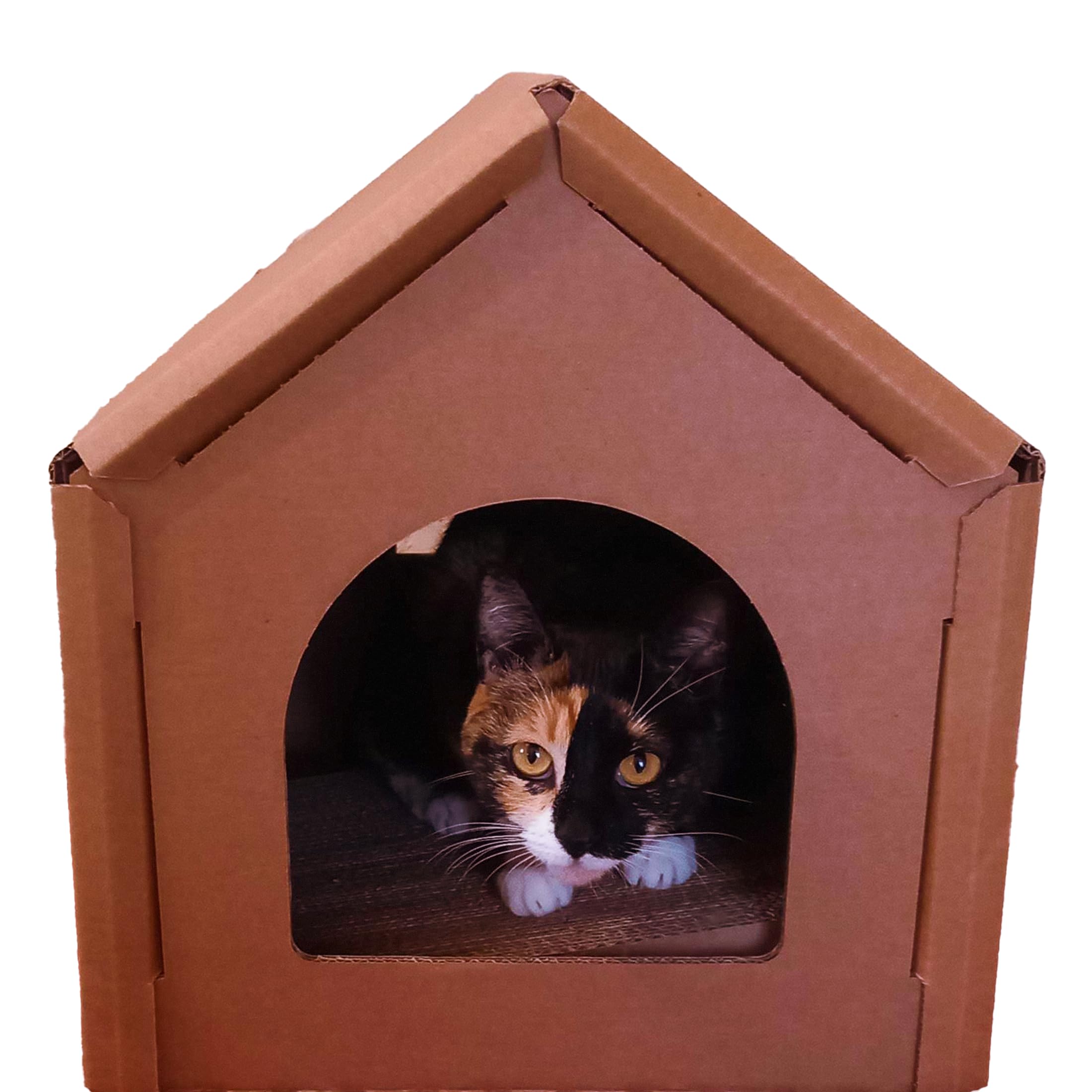 Cozy Cat House with Scratcher – Fun & Sturdy Hideout (Medium Size)