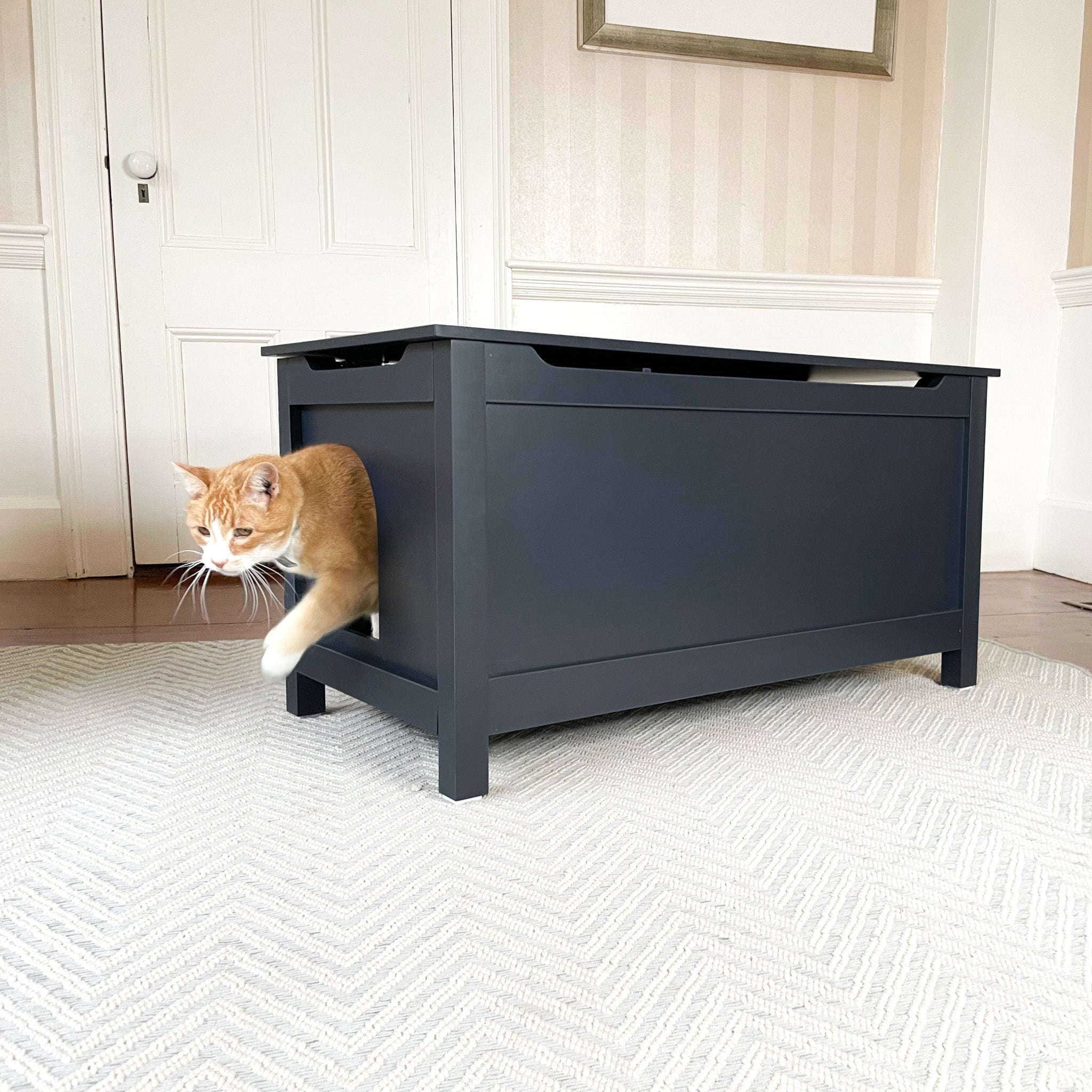 Parker Designer Catbox Cat Litter Box Enclosure, Hidden Dog-Proof Pet Furniture with Cover, Elegant Covered Odor Contained for Large Cats, Cat Litter Box Furniture With Lid, Cat Litter Boxes, Charcoal