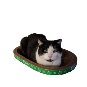 B- Scratcher Kitty Oval Scratcher, Cat Scratcher Cardboard Bed Lounge Couch for Indoor Cats Oval, Kitty Cat Scratching Pad Recycle Corrugate Scratcher Long Lasting Furniture