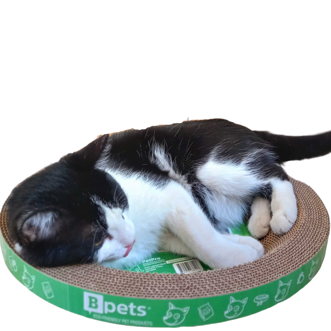 B Scratcher - Kitty Funny Round Scratcher