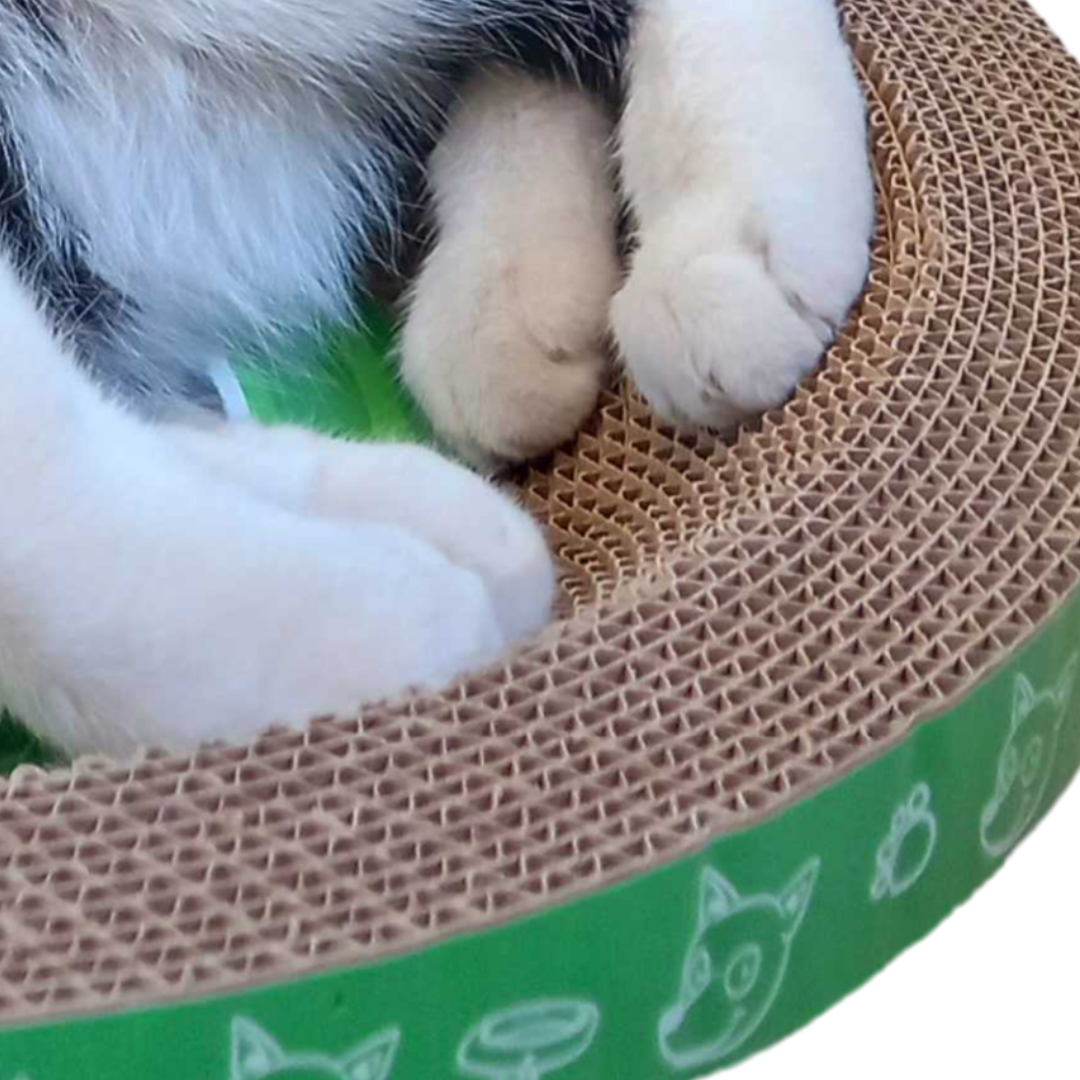 B Scratcher - Kitty Funny Round Scratcher