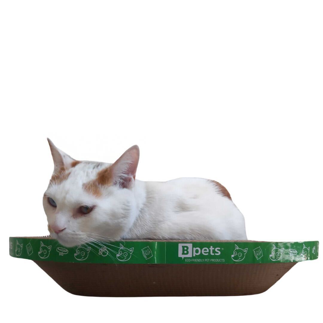 B Scratcher - Kitty Funny Round Scratcher