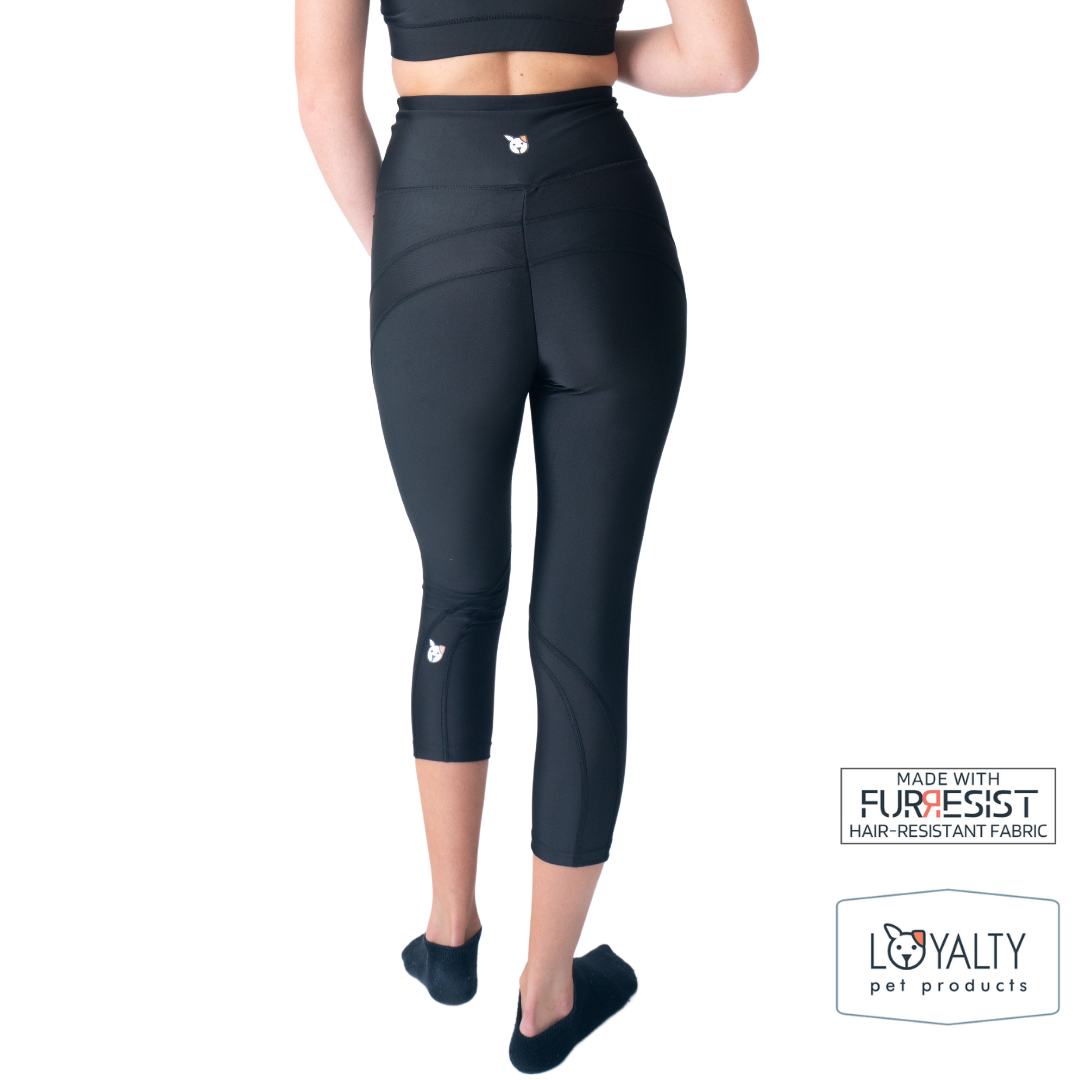 Loyalty Pet Products Black Fur Resistant Leggings