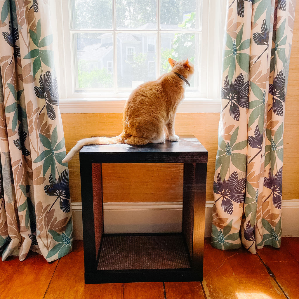 Bailey Cat Scratcher, Wooden Cat Scratcher and End Table, Sisal Scratching Furniture Post for Cats and Kittens, Interior Design Scratching Post, Espresso - Dark Wood Veneer