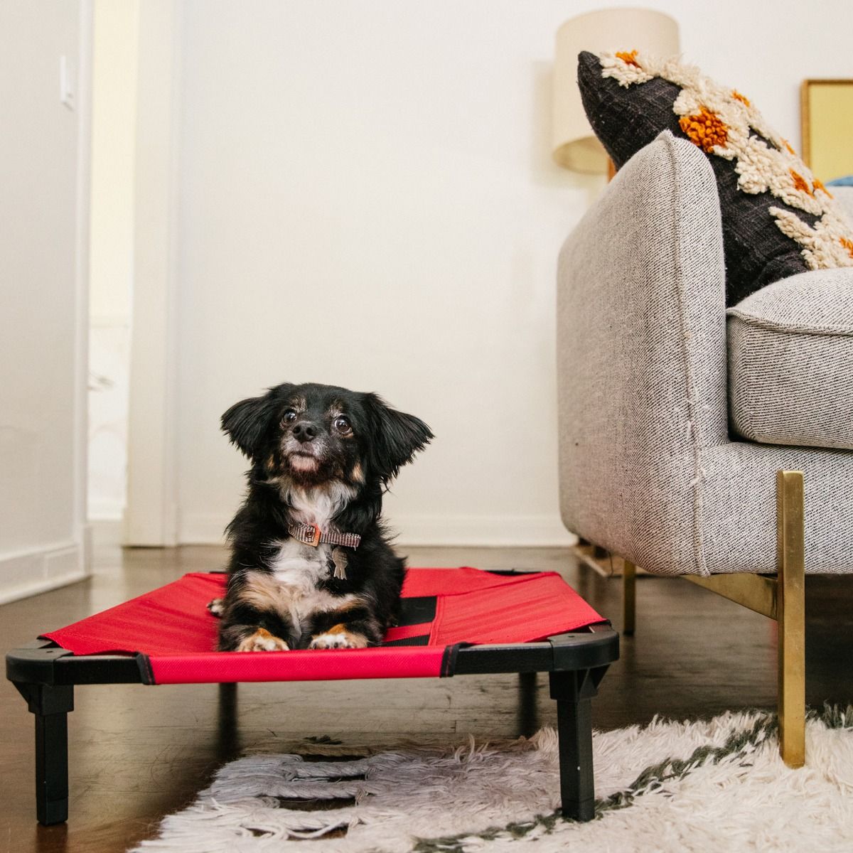 Lucky Dog Comfort Cot