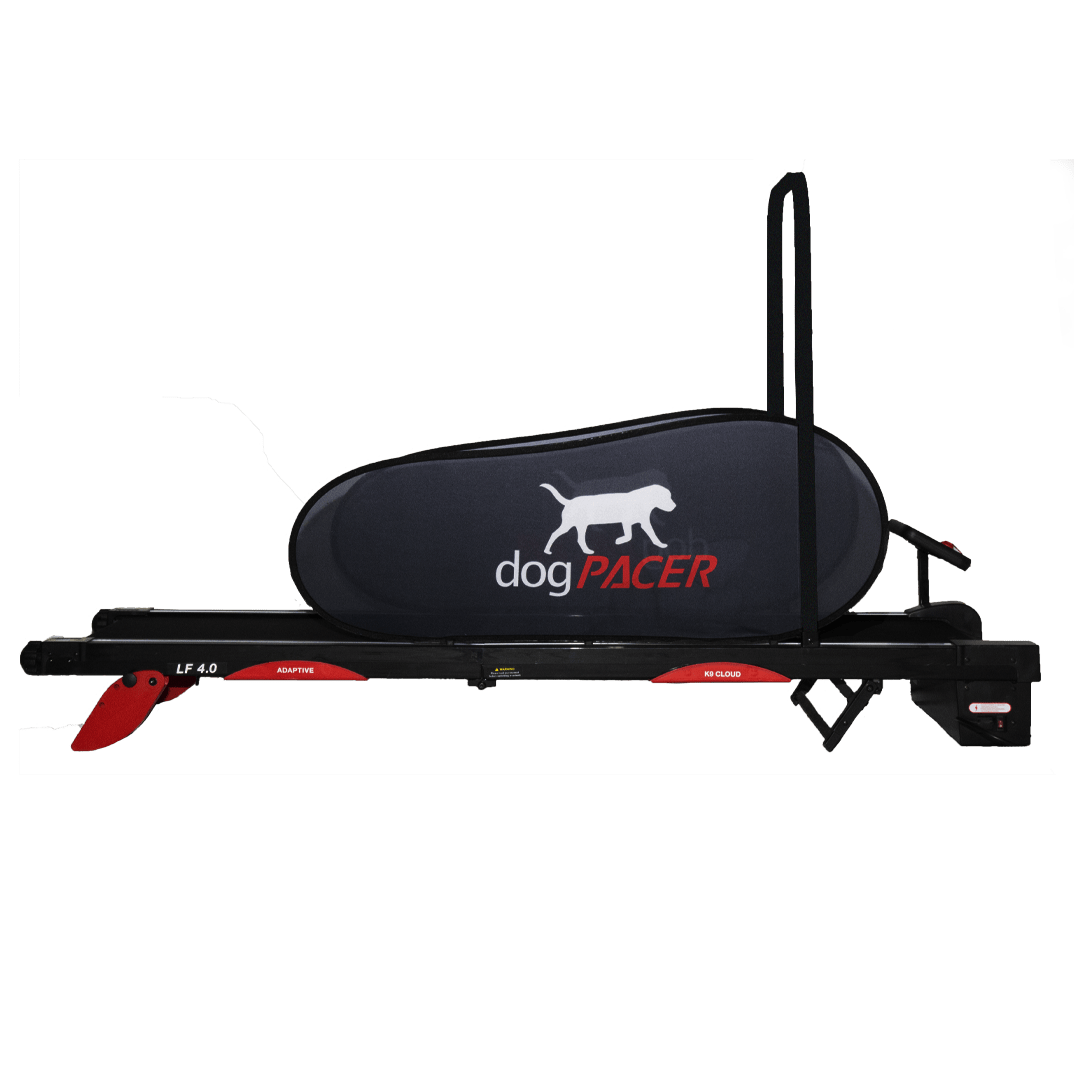dogPACER 4.0