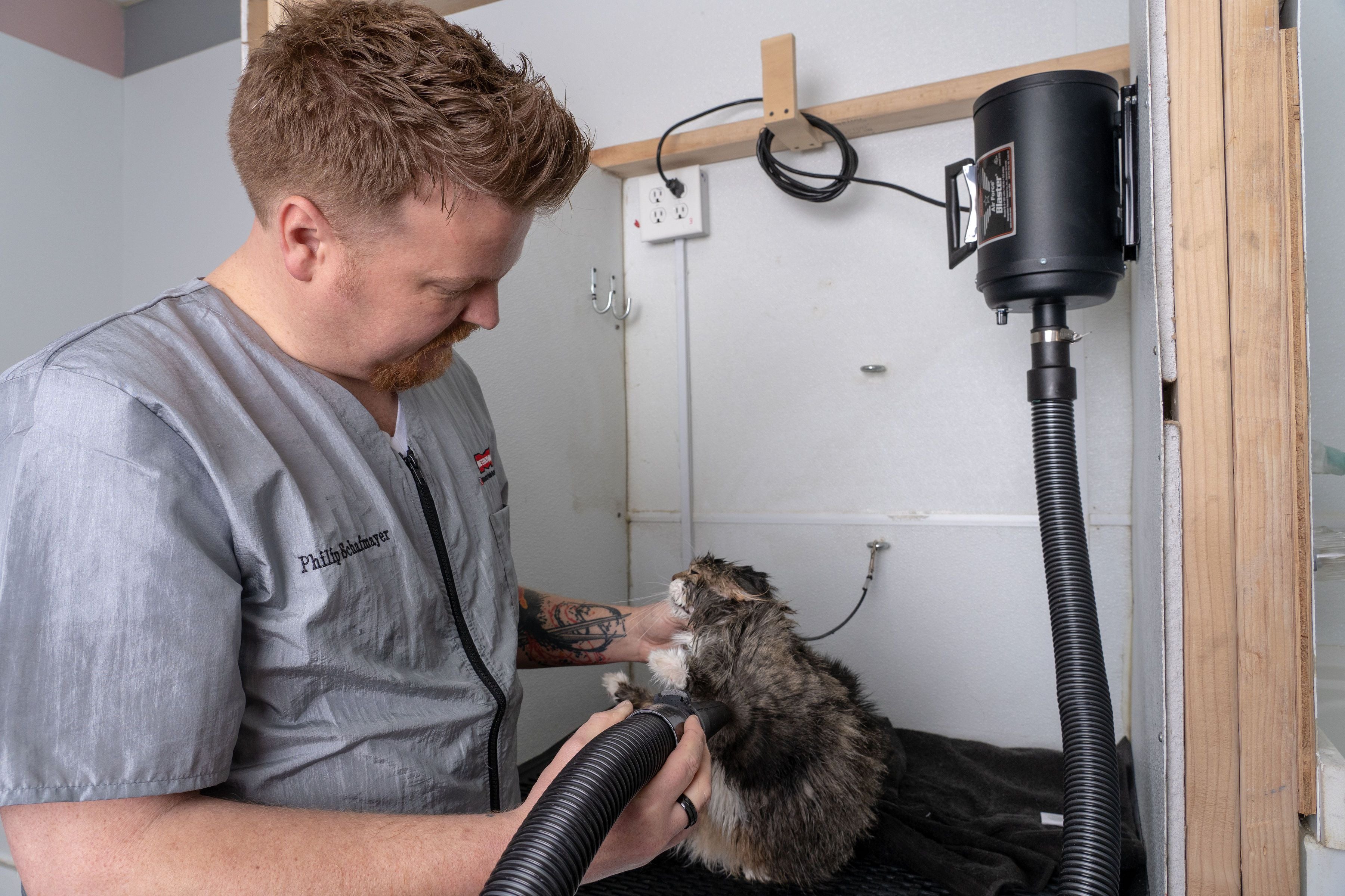 Metrovac Air Force Blaster Professional Grooming Dog & Pet Dryer