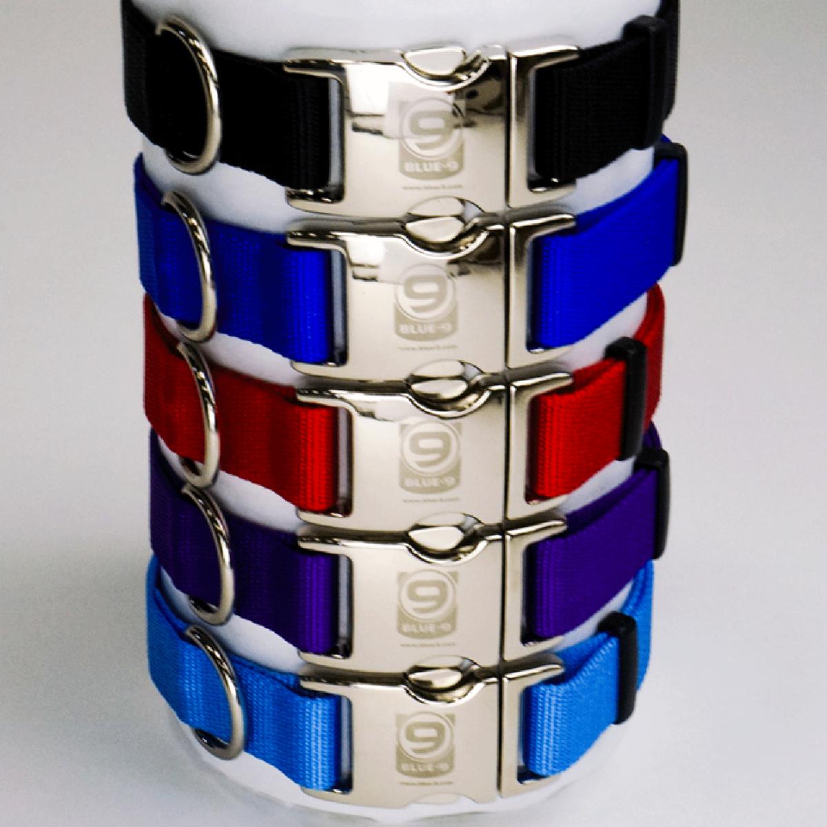 Blue-9 Secure Pro Dog Collar