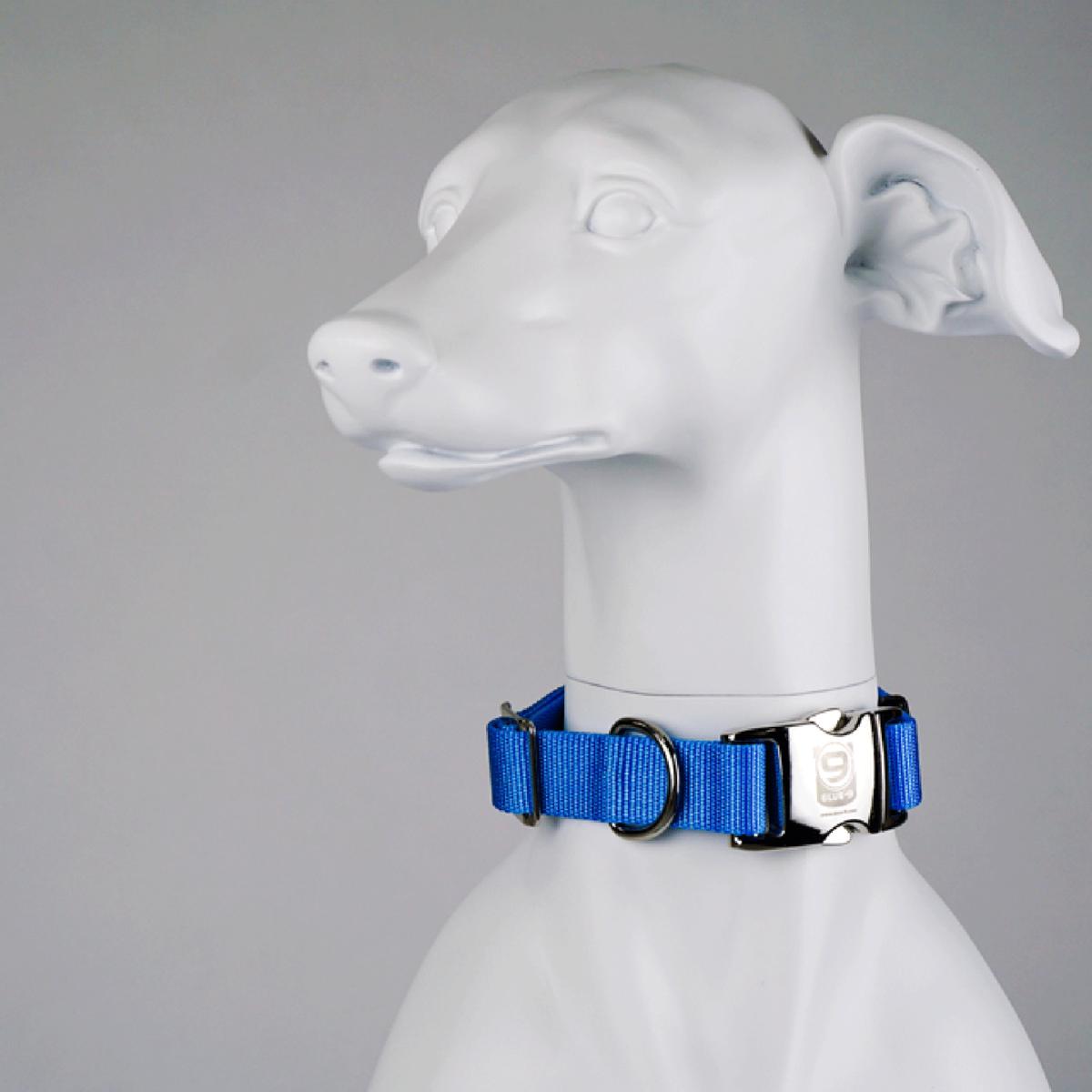 Blue-9 Secure Pro Dog Collar