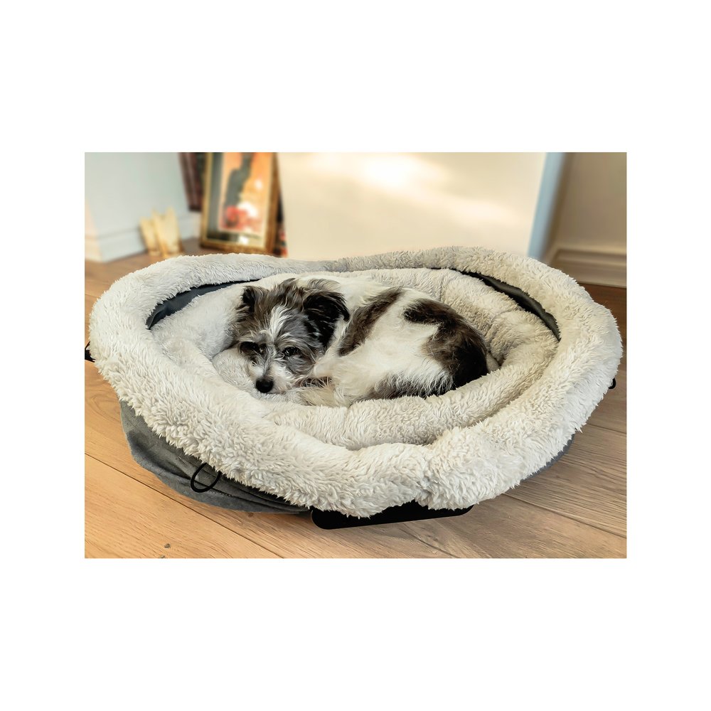 Bear Bear Pet Nest and Go Pet Bed and Carrier