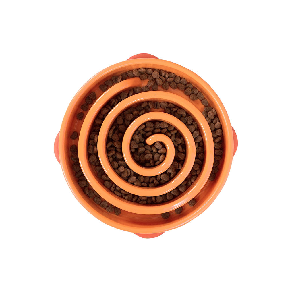 Outward Hound Fun Feeder Slo-Bowl Drop