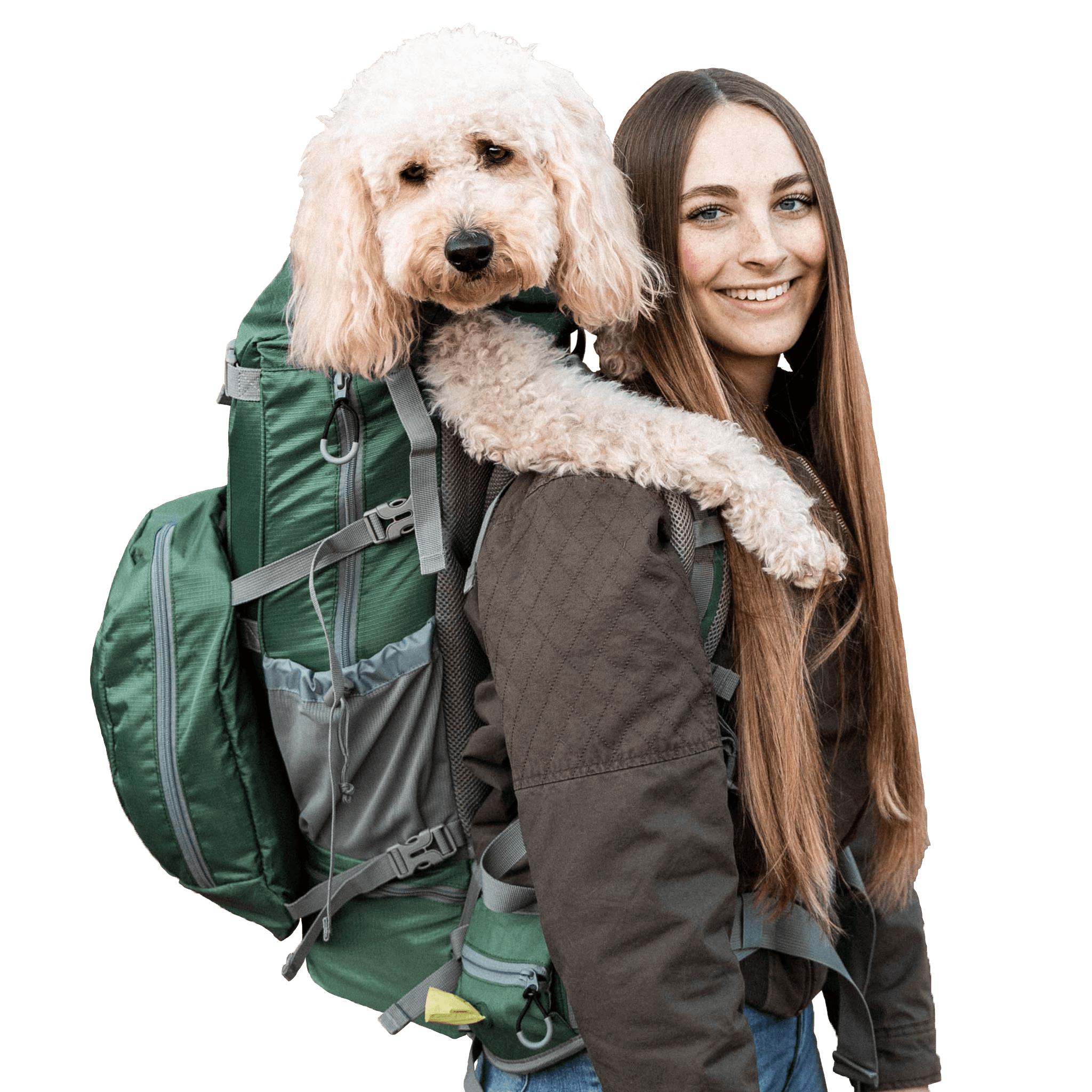 K9 Sport Sack Rover 2