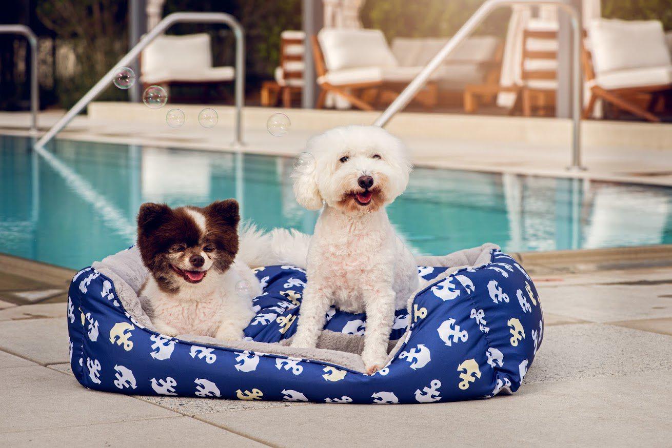 Petique Anchor’s Away Pet Bed