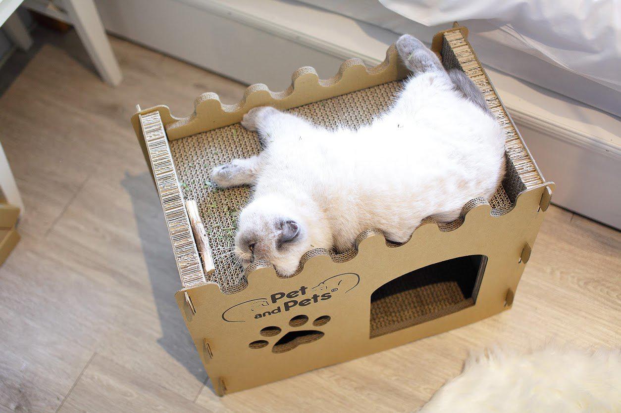Pet and Pets Bungalow Eco Pet House