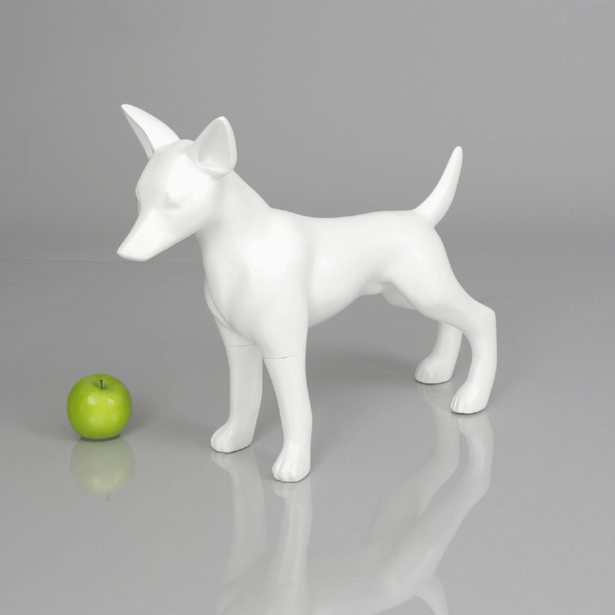 Blue-9 Dog Mannequin, Chihuaha - Matilda