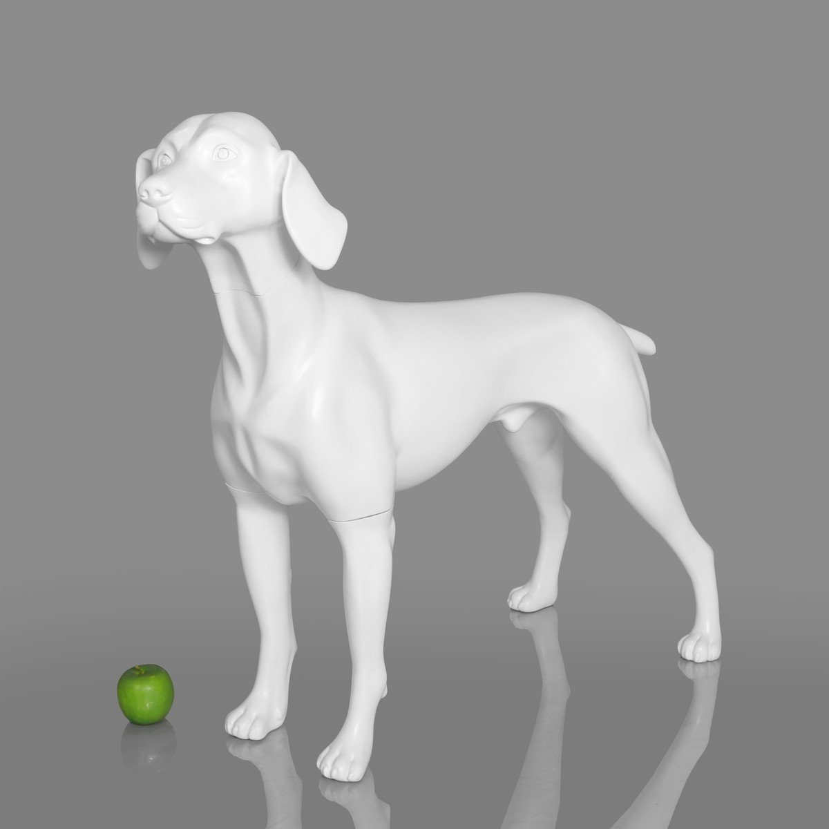 Blue-9 Dog Mannequin, German Pointer - William