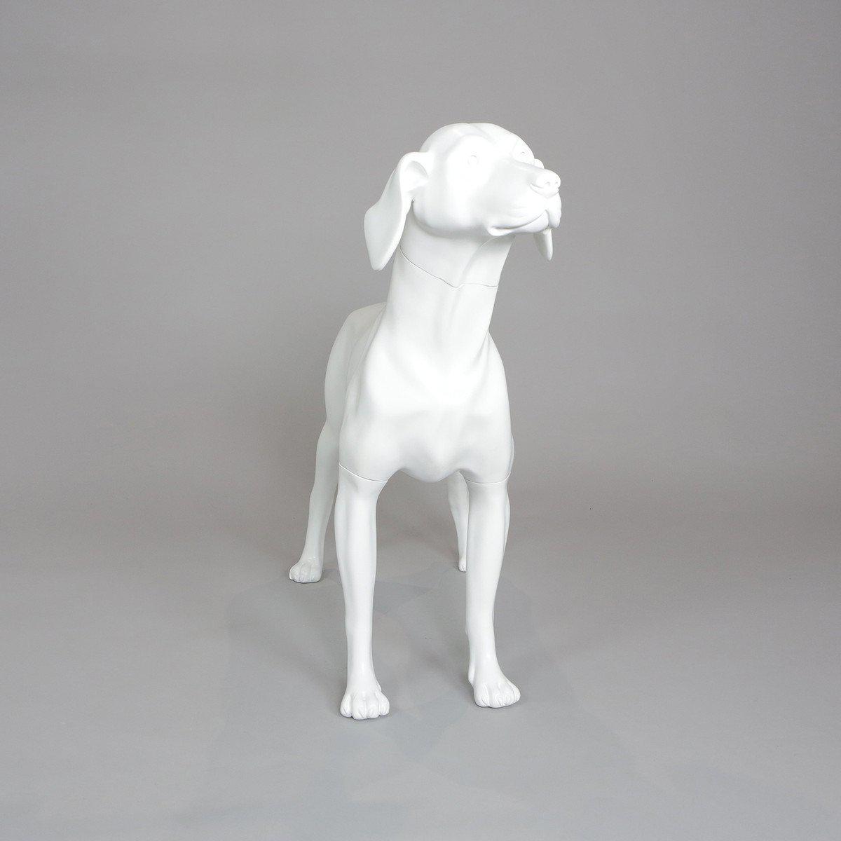 Blue-9 Dog Mannequin, German Pointer - William
