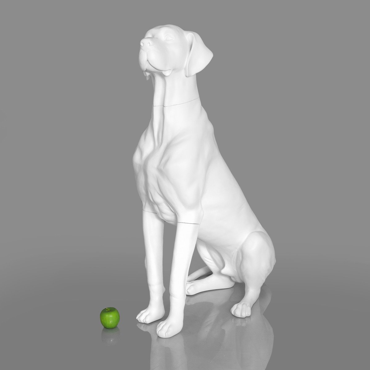 Blue-9 Dog Mannequin, Great Dane - Edmund