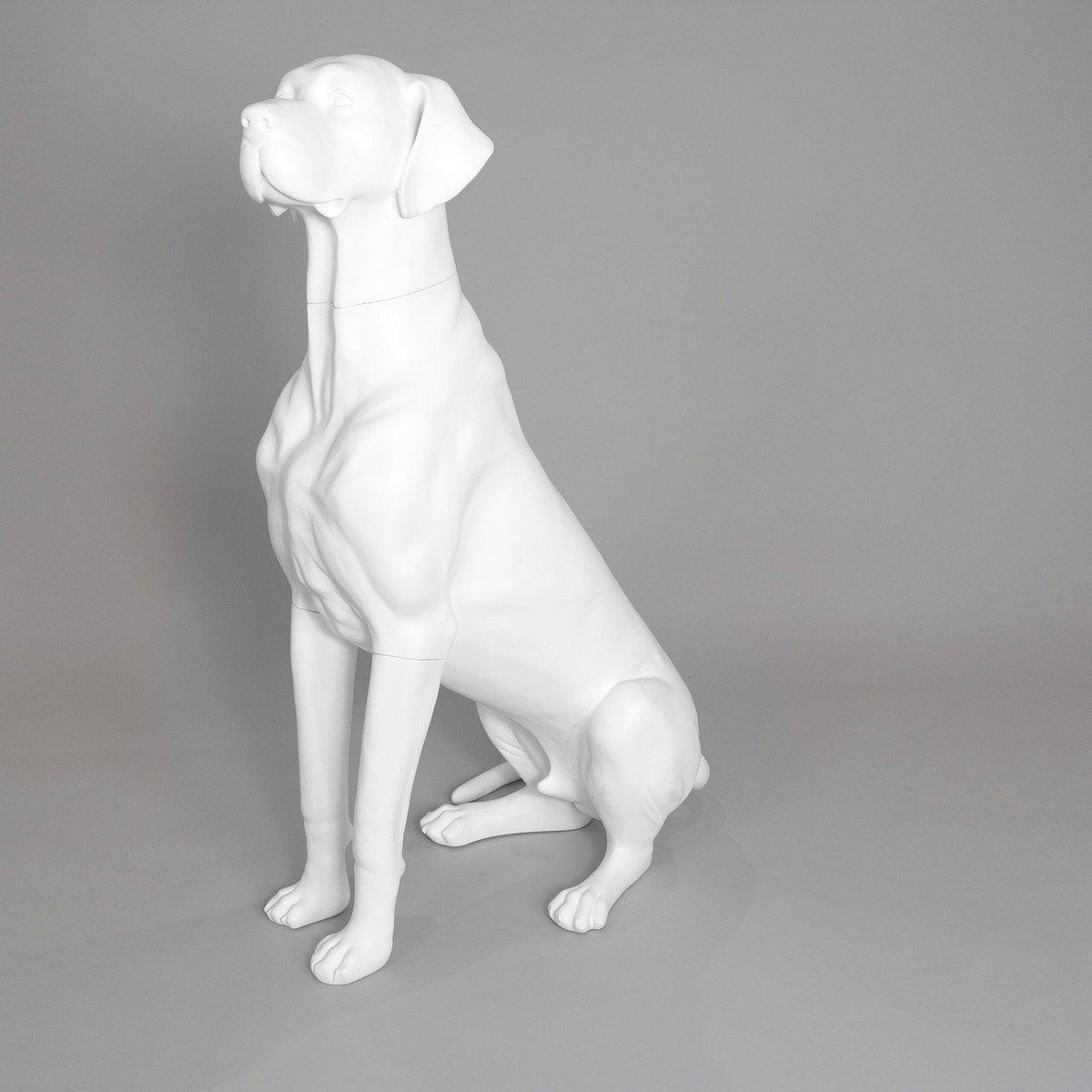 Blue-9 Dog Mannequin, Great Dane - Edmund