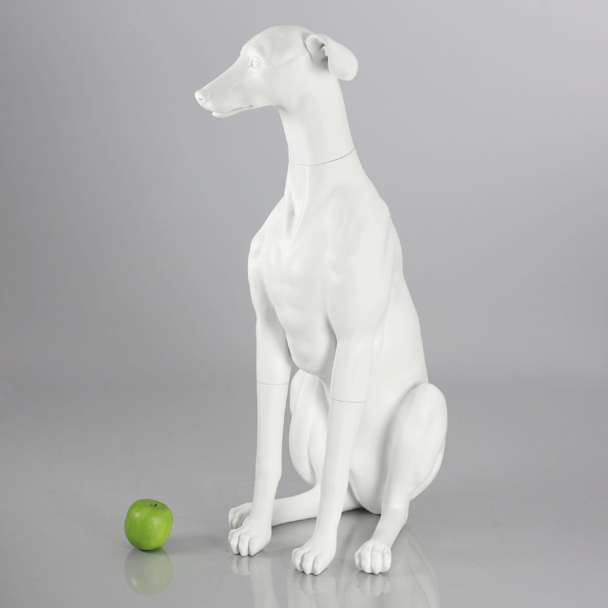 Blue-9 Dog Mannequin, Greyhound - Philippa
