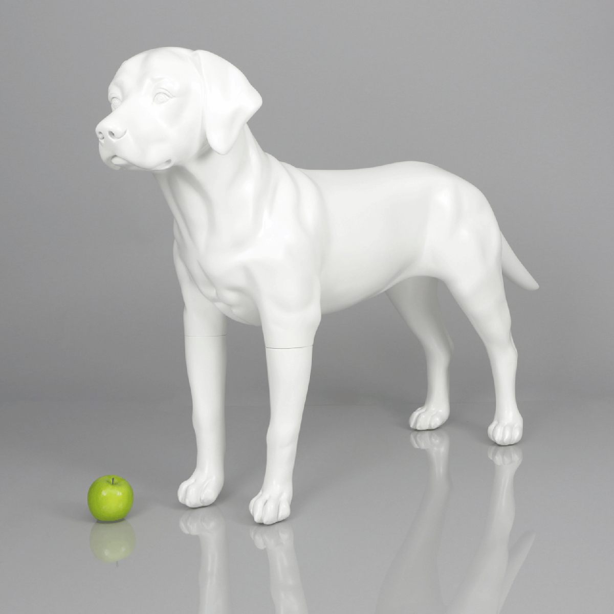 Blue-9 Dog Mannequin, Labrador - Victoria