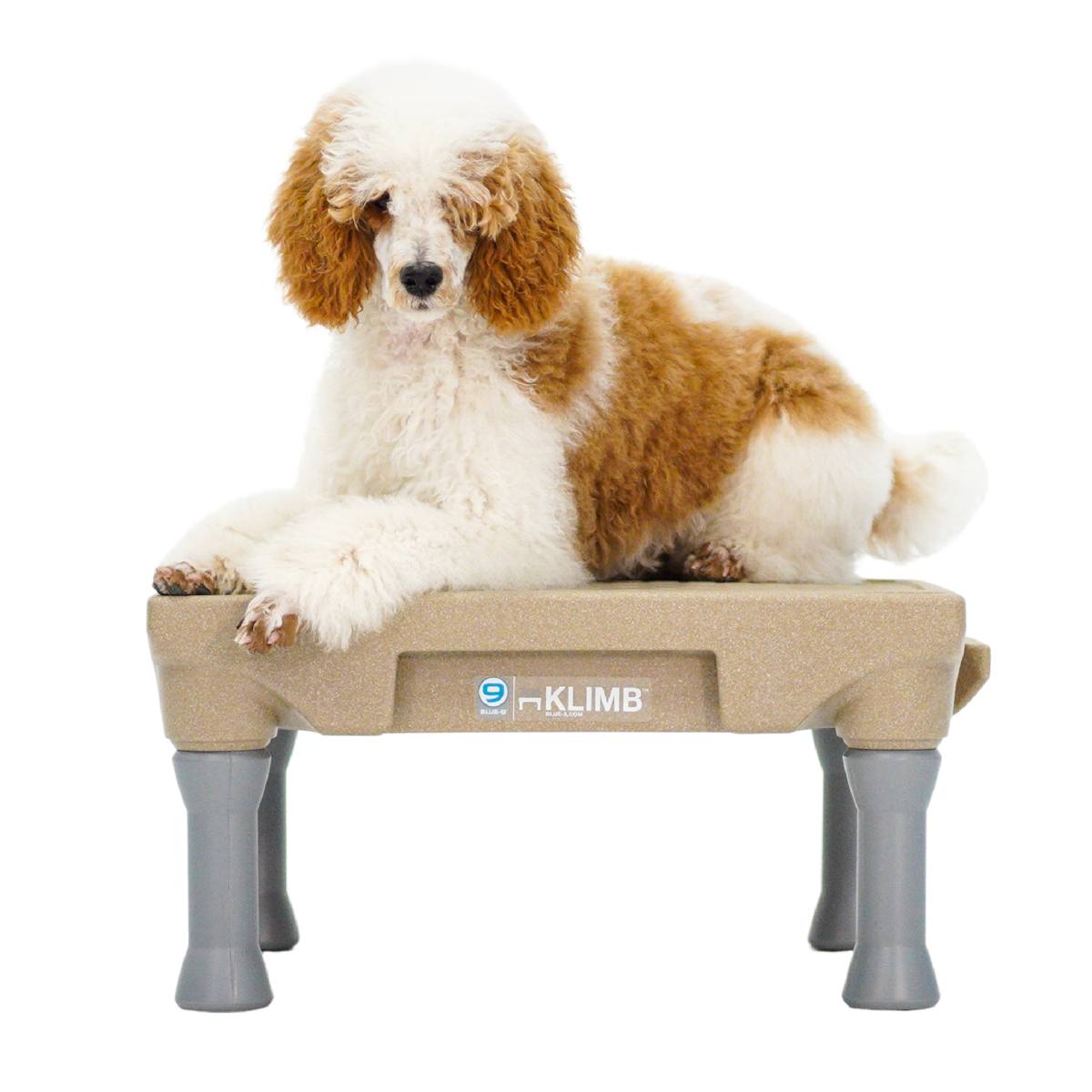 Blue-9 KLIMB Dog Training Platform
