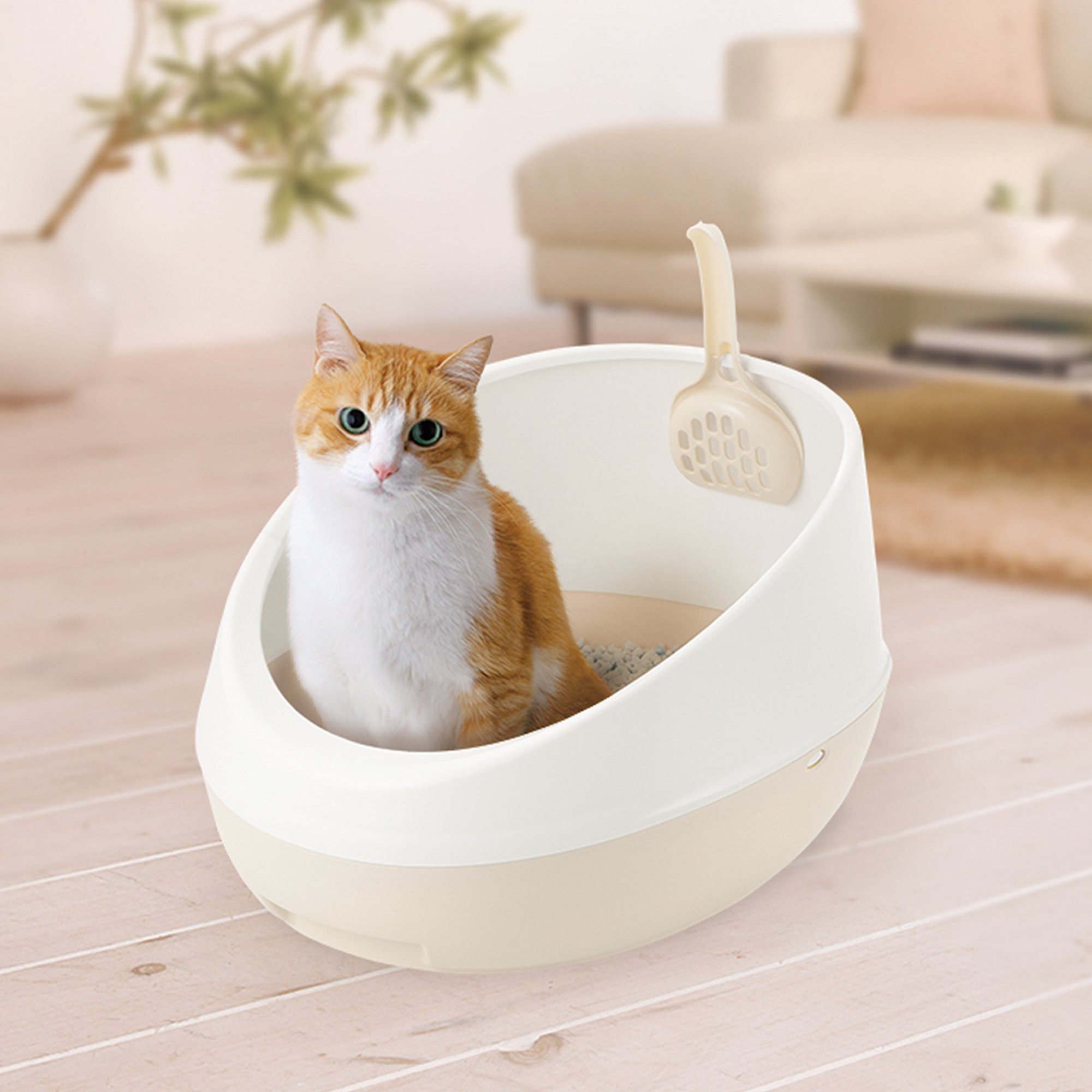 Richell PAW TRAX Rimmed Cat Litter Pan