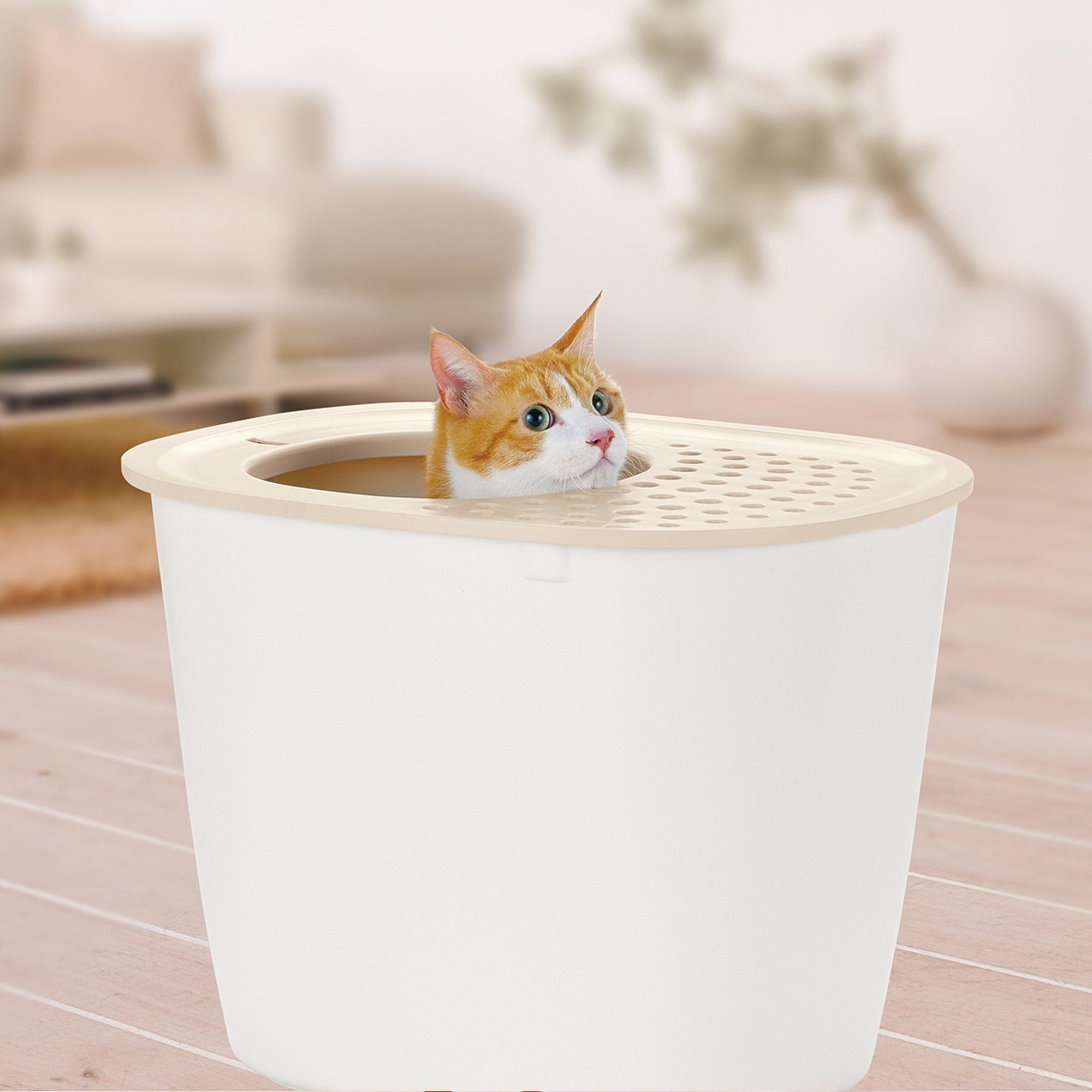 Richell PAW TRAX Top Entry Cat Litter Box