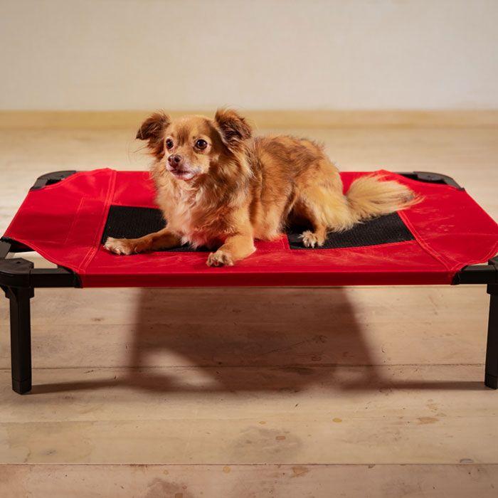 Lucky Dog Comfort Cot