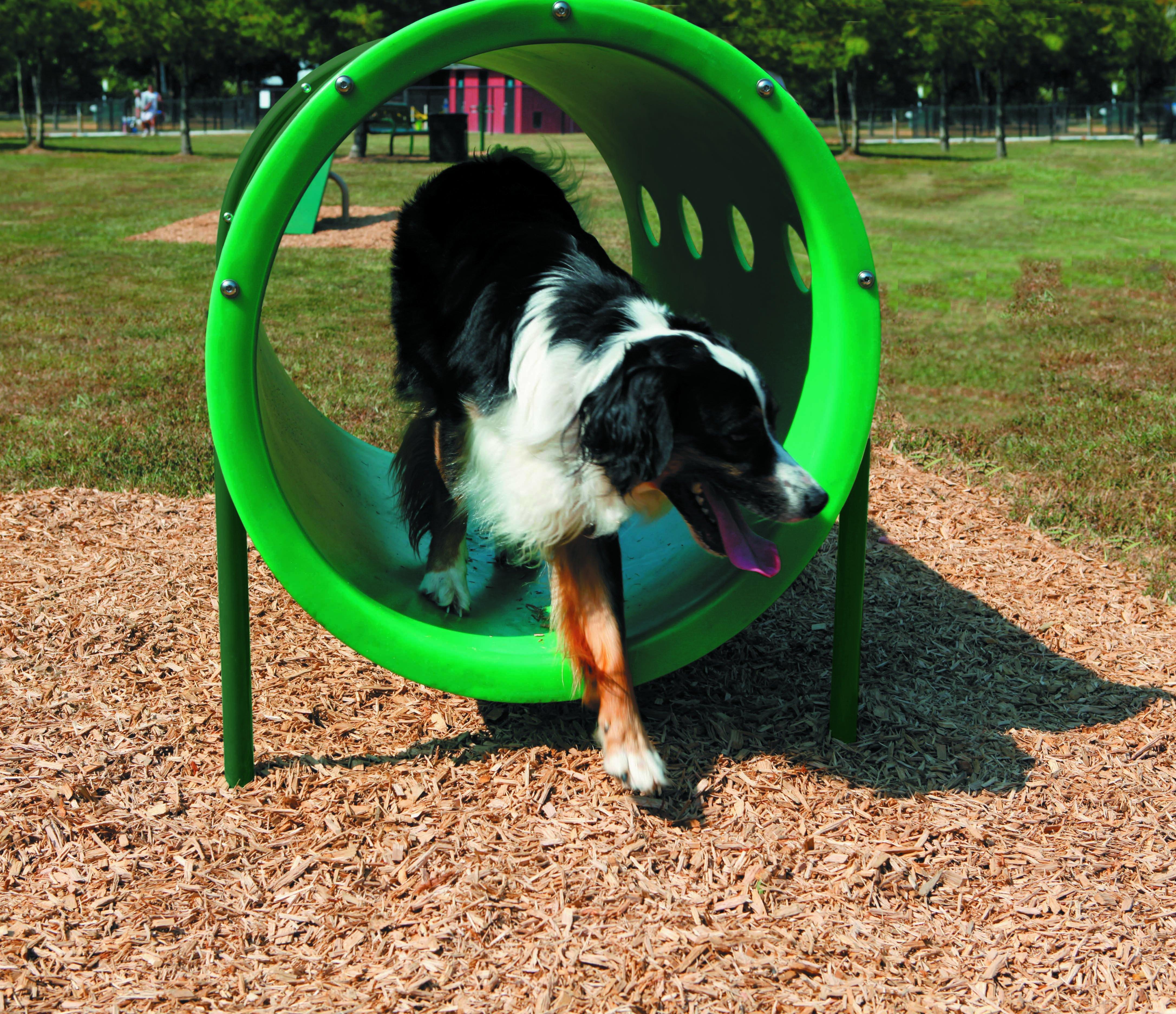 BarkPark by UltraSite Doggie Crawl
