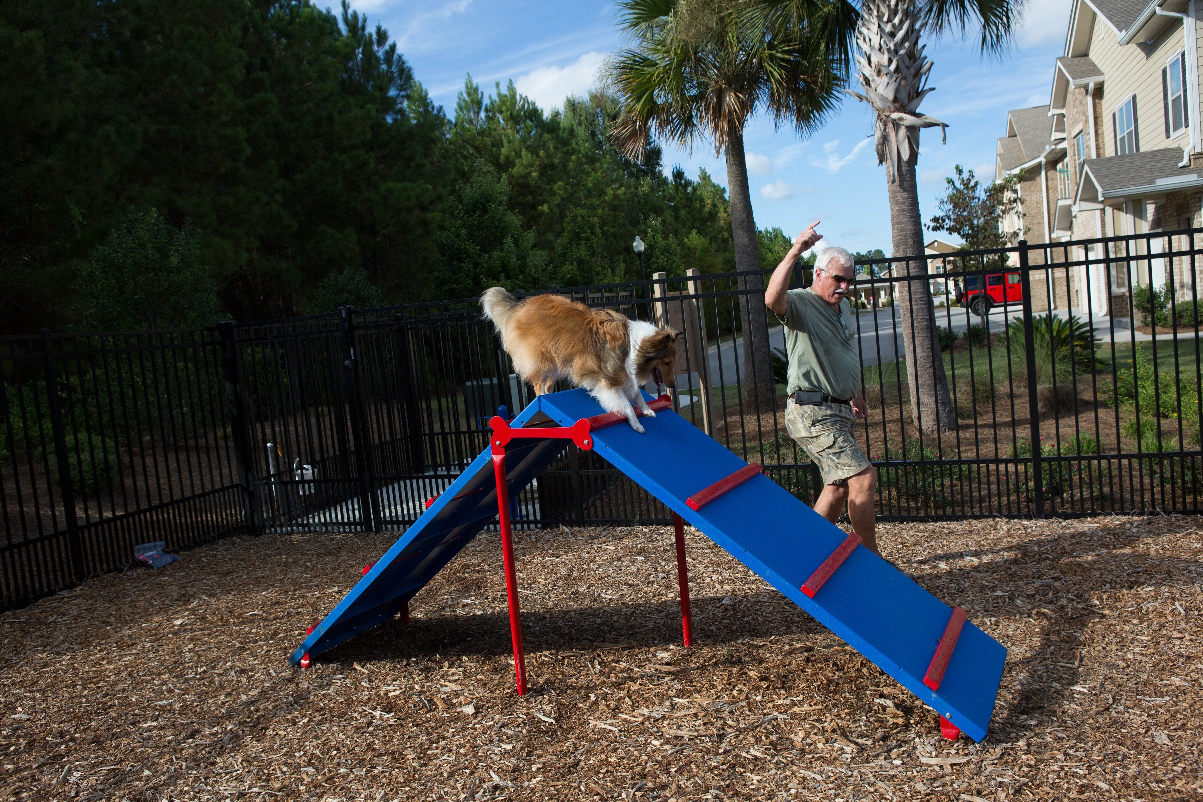 BarkPark by UltraSite King of the Hill