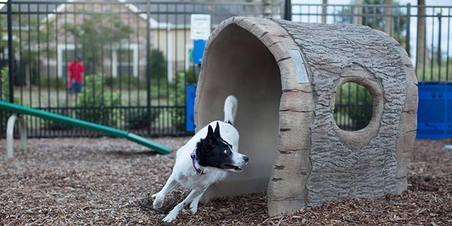 BarkPark by Ultrasite Nature Bark – Log Tunnel