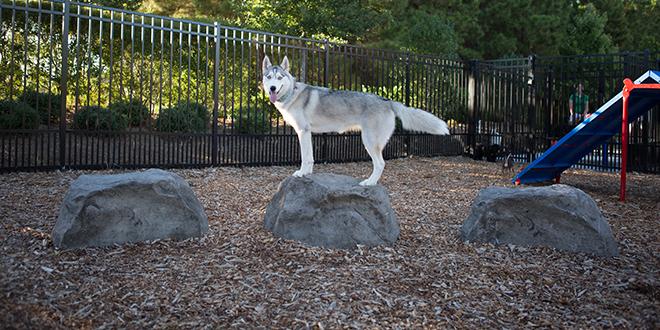 BarkPark by Ultrasite Nature Bark – Stepping Boulders