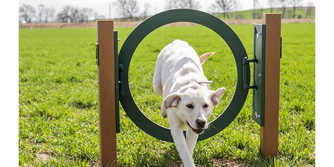BarkPark by UltraSite Recycled Adjustable Ring Jump
