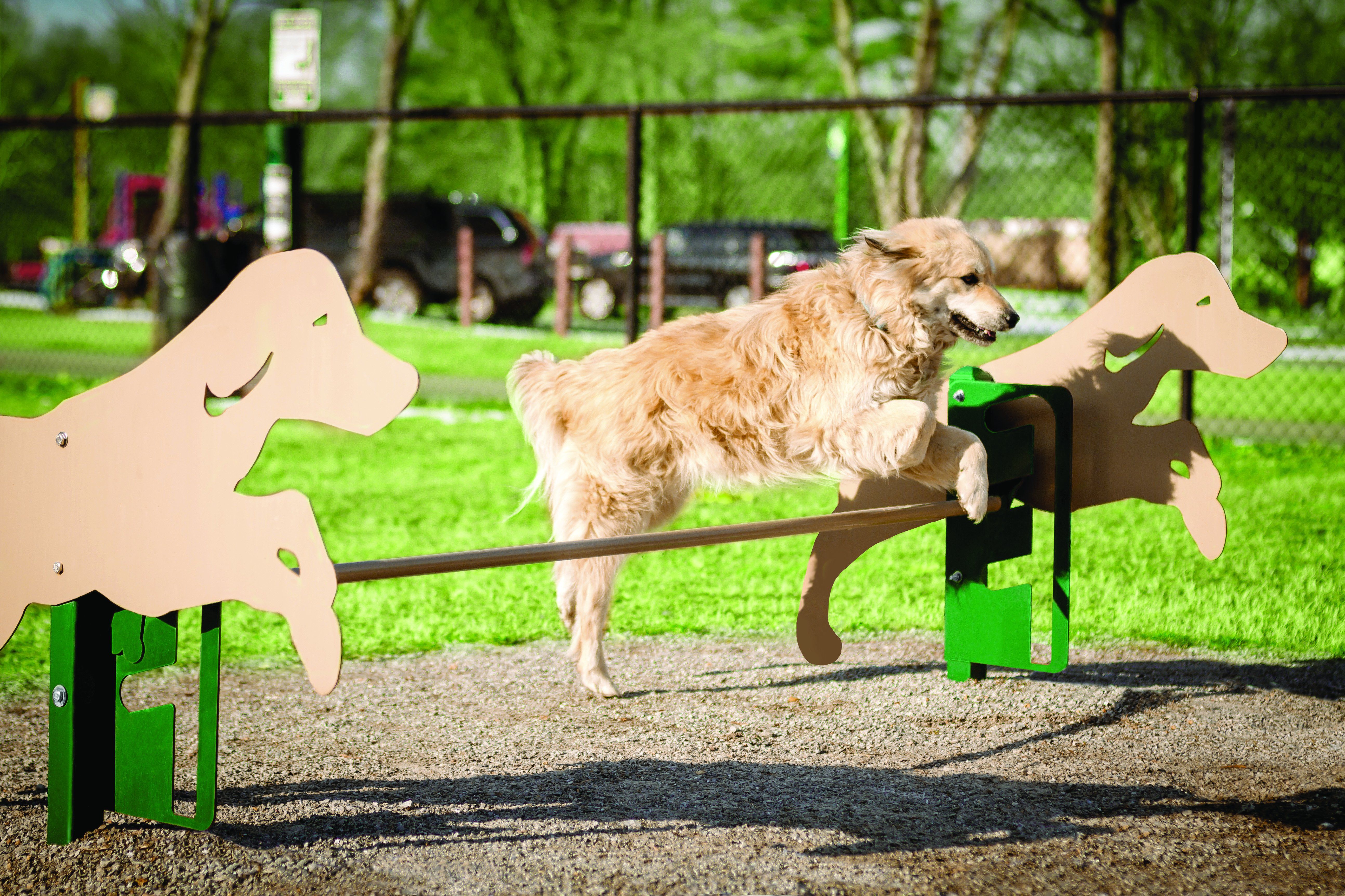 BarkPark by Ultrasite Rover Jump Over