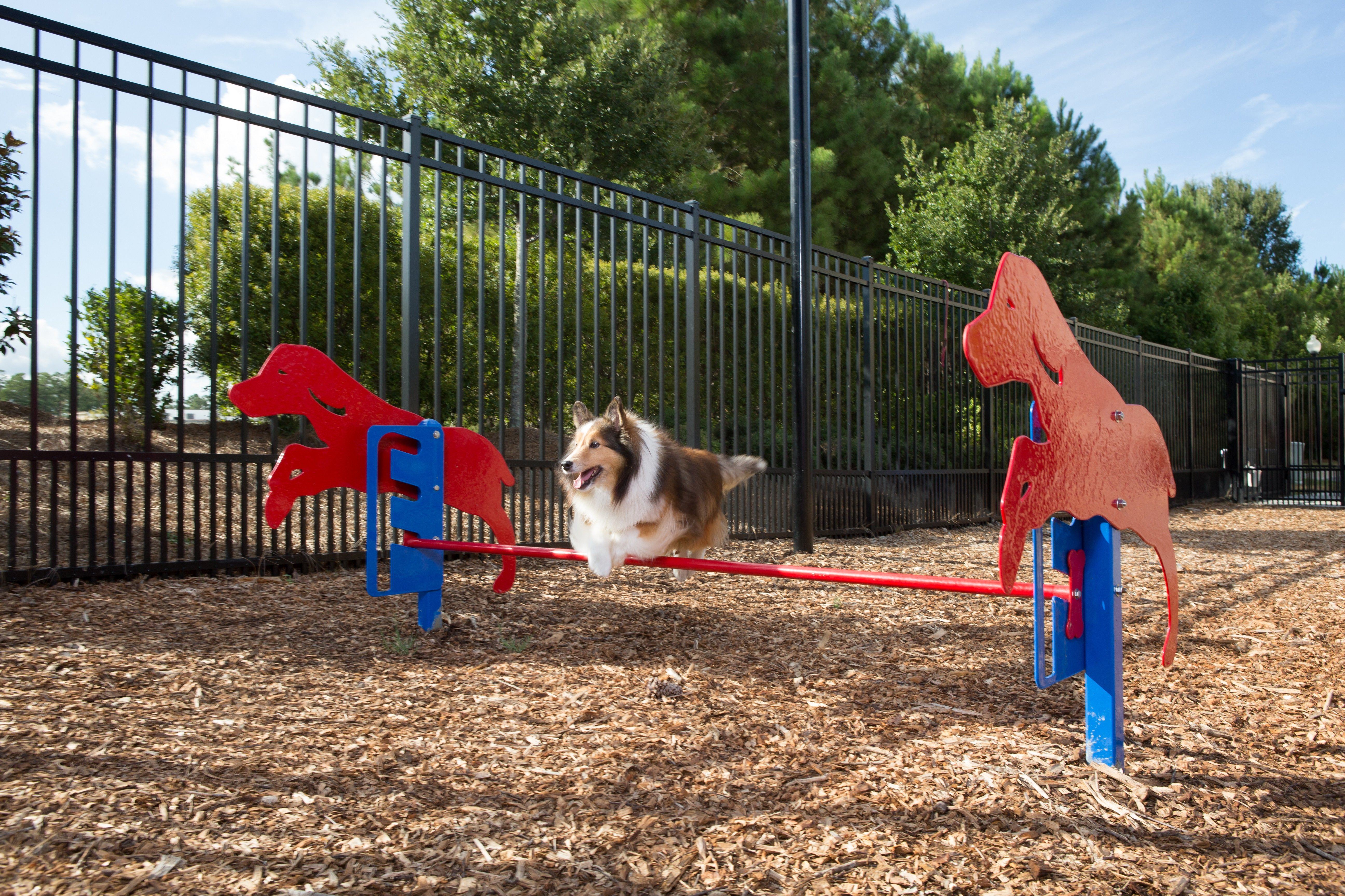 BarkPark by Ultrasite Rover Jump Over