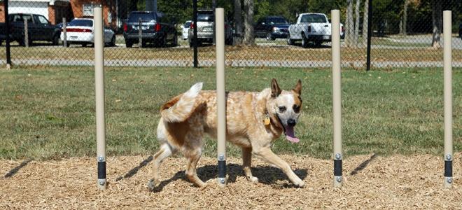 BarkPark by Ultrasite Weave Posts